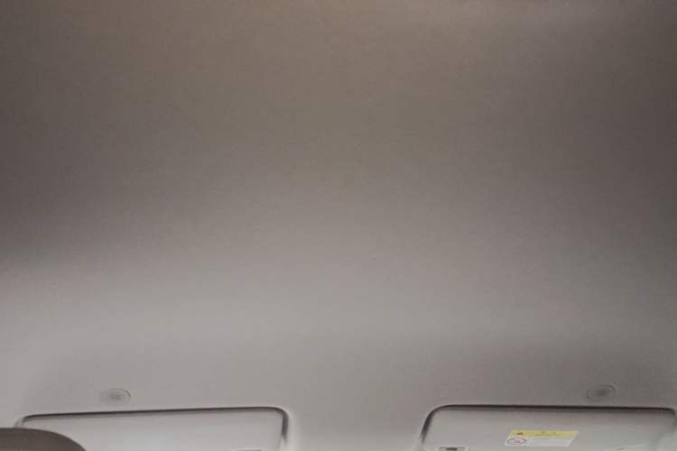 Used BYD Yuan UP 2024 401KM Leading Edition Headliner