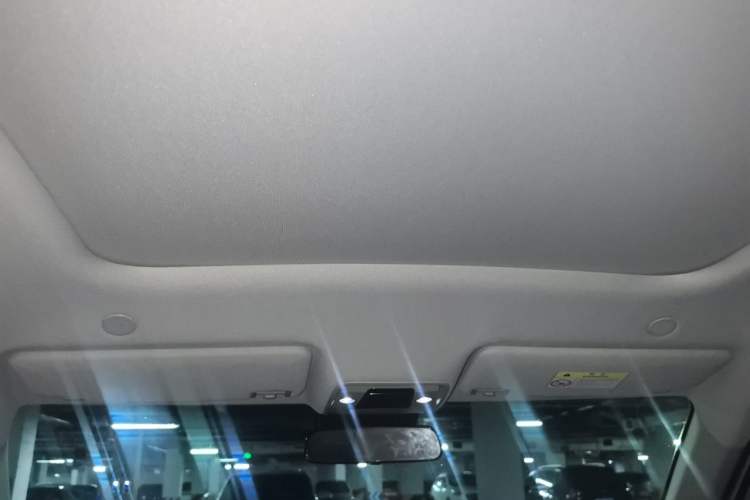 Used BYD Yuan UP 2024 401KM Beyond Edition Headliner