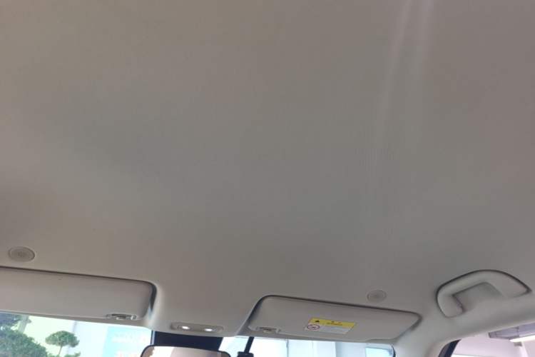 Used BYD Yuan UP 2024 401 km Active Version Headliner