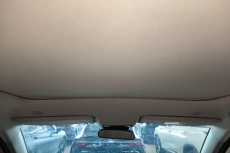 Used BYD Yuan UP 2024 401KM Beyond Edition Headliner