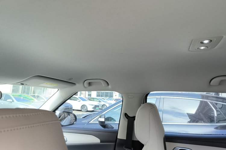 Used BYD Yuan UP 2024 401 km Active Version Headliner