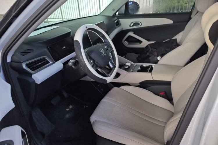 Used BYD Yuan UP 2024 401KM Beyond Edition Left Front Seat