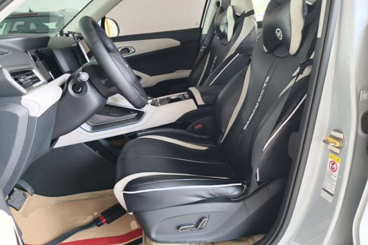 Used BYD Yuan UP 2024 401KM Beyond Edition Left Front Seat