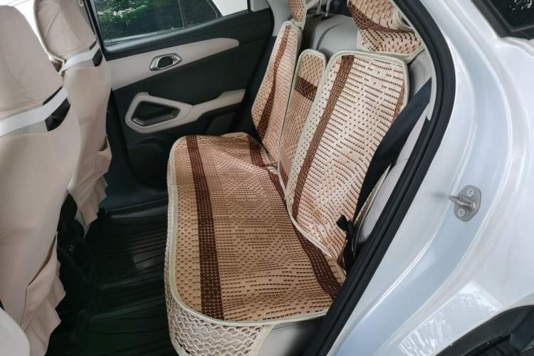 Used BYD Yuan UP 2024 401 km Active Version Left Rear Seat