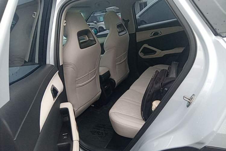 Used BYD Yuan UP 2024 401KM Beyond Edition Left Rear Seat