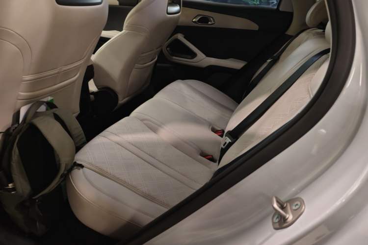 Used BYD Yuan UP 2024 401KM Leading Edition Left Rear Seat