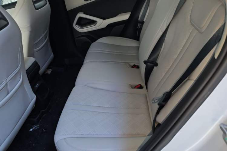 Used BYD Yuan UP 2024 401KM Beyond Edition Left Rear Seat