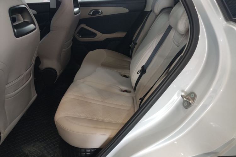 Used BYD Yuan UP 2024 401KM Leading Edition Left Rear Seat