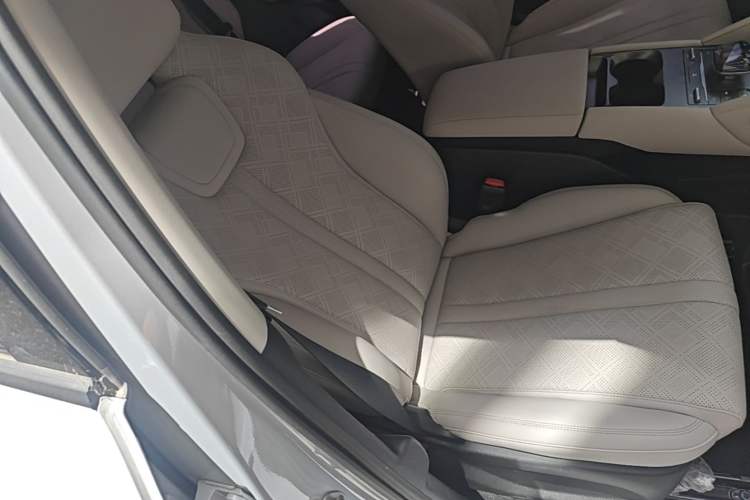 Used BYD Yuan UP 2024 401KM Leading Edition Right Front Seat