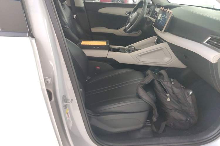 Used BYD Yuan UP 2024 401 km Active Version Right Front Seat