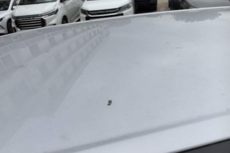 Used BYD Yuan UP 2024 401 km Active Version Roof