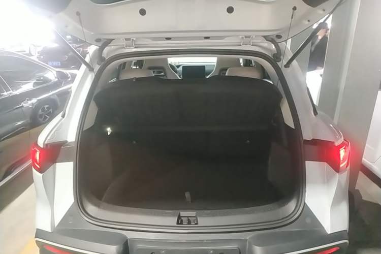 Used BYD Yuan UP 2024 401KM Beyond Edition Trunk