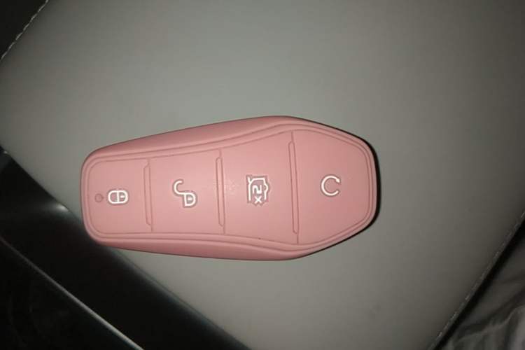 Used BYD Yuan UP 2024 401KM Beyond Edition Vehicle Key