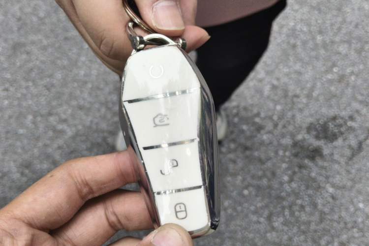 Used BYD Yuan UP 2024 401KM Leading Edition Vehicle Key