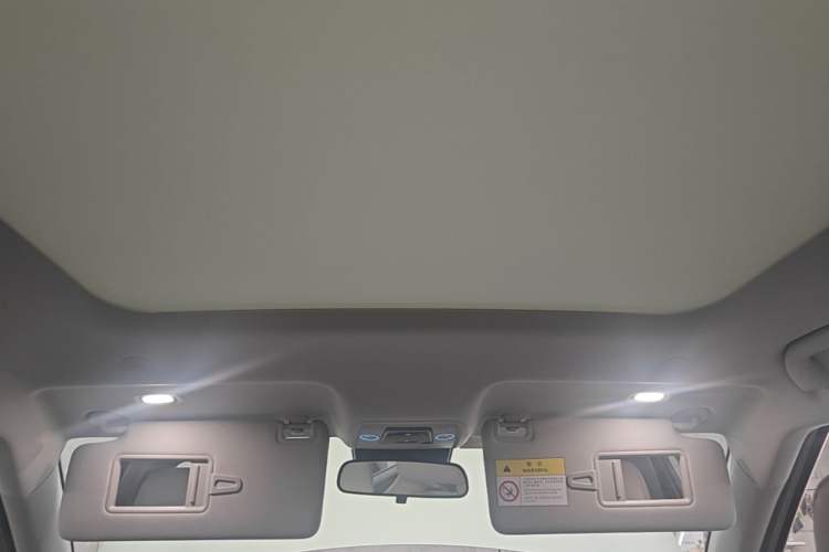Used BYD Yuan UP 2024 401KM Beyond Edition Headliner