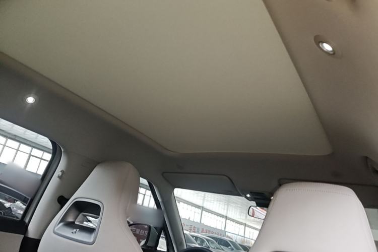 Used BYD Yuan UP 2024 401KM Beyond Edition Headliner