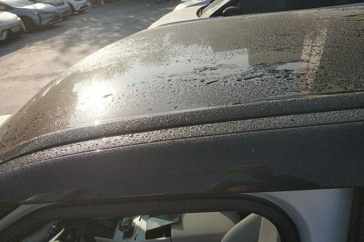 Used BYD Yuan UP 2024 401 km Active Version Roof