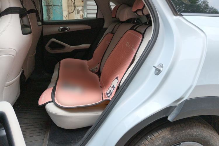 Used BYD Yuan UP 2025 Model 301KM Leading Version Left Rear Seat