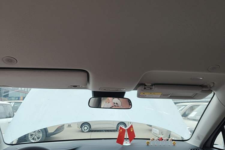 Used BYD Yuan UP 2025 Model 301KM Leading Version Headliner