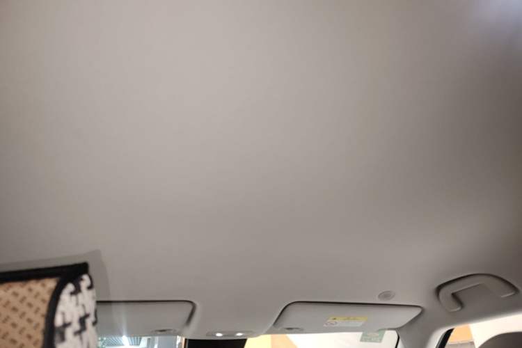 Used BYD Yuan UP 2025 Model 301KM Leading Version Headliner