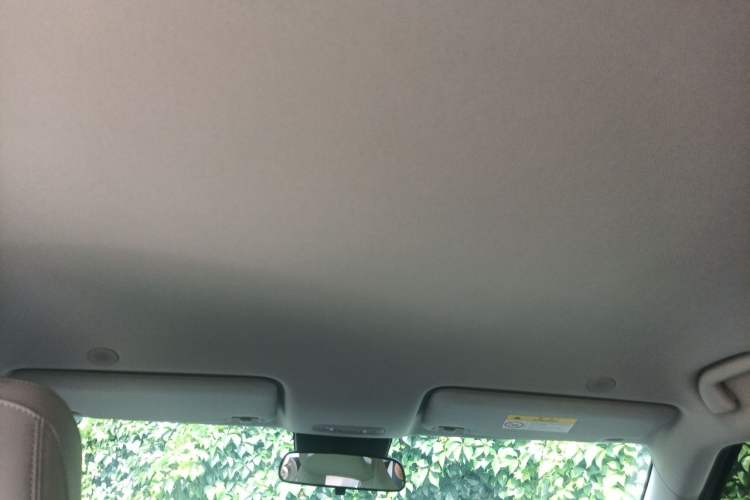 Used BYD Yuan UP 2025 Model 301KM Leading Version Headliner