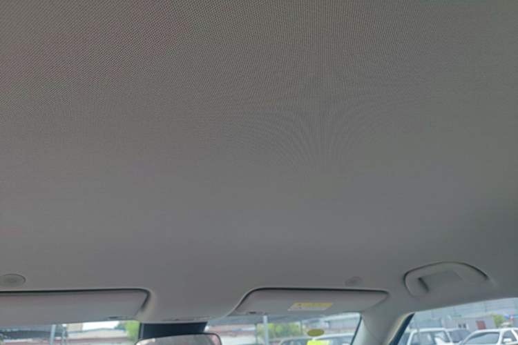 Used BYD Yuan UP 2025 Model 301KM Leading Version Headliner