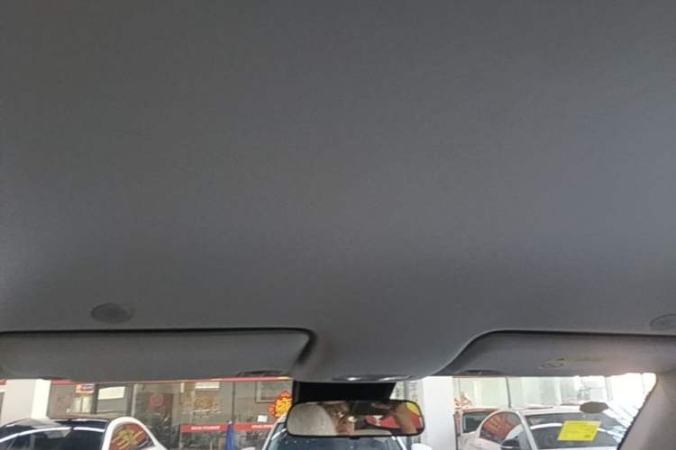 Used BYD Yuan UP 2025 Model 301KM Leading Version Headliner