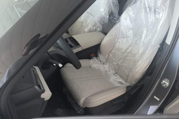 Used BYD Yuan UP 2025 Model 301KM Leading Version Left Front Seat