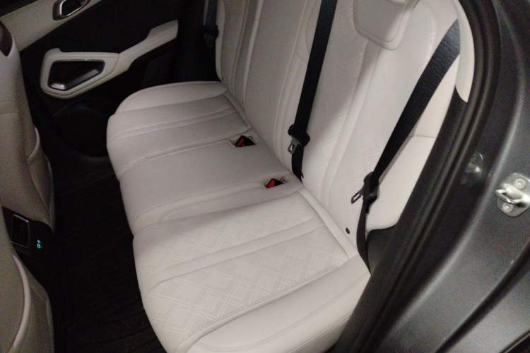 Used BYD Yuan UP 2025 Model 301KM Leading Version Left Rear Seat