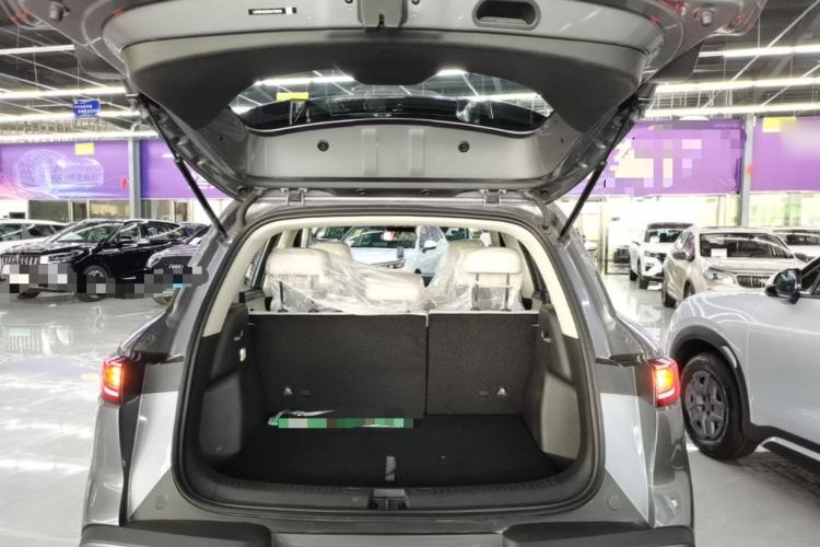 Used BYD Yuan UP 2025 Model 301KM Leading Version Trunk