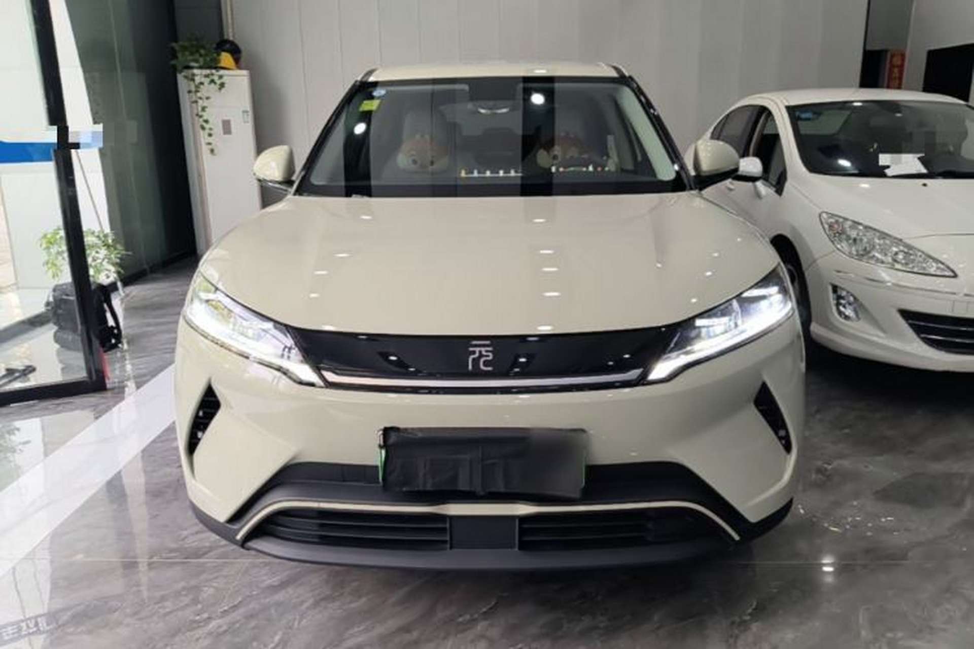 Used BYD Yuan UP 2025 Model 301KM Leading Version Front