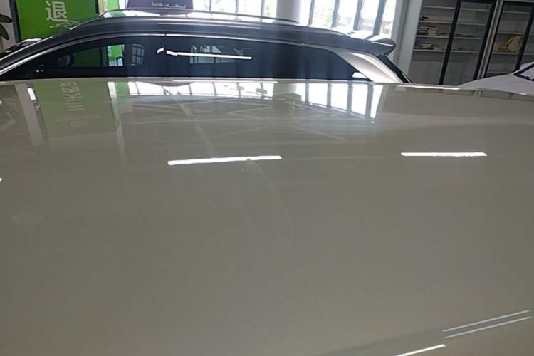 Used BYD Yuan UP 2025 Model 301KM Leading Version Roof