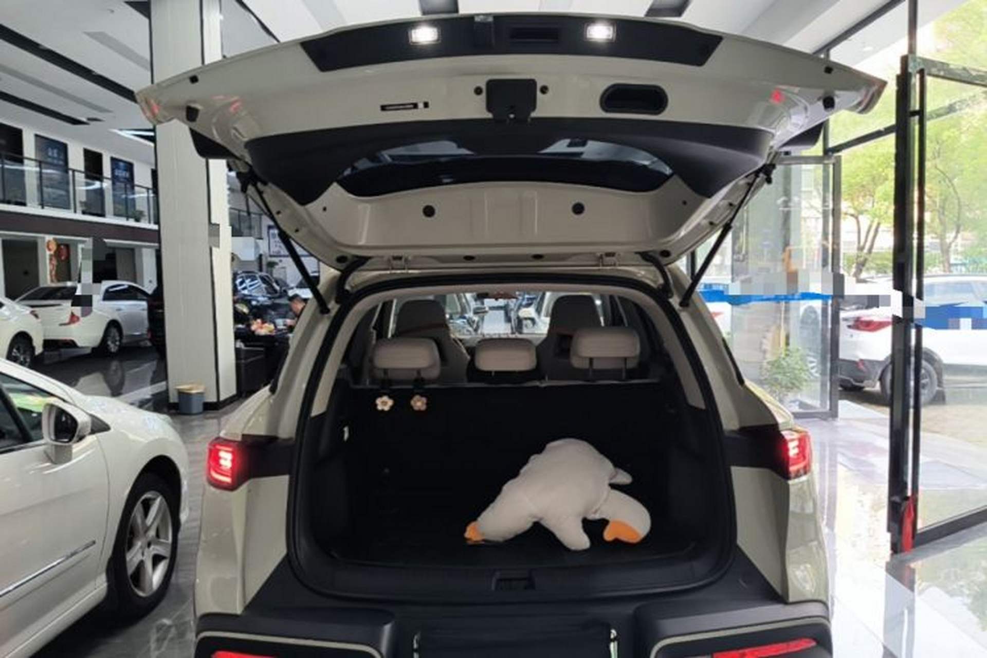 Used BYD Yuan UP 2025 Model 301KM Leading Version Trunk