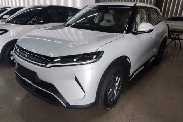 BYD Yuan UP 2025 Model 301KM Leading Version usado