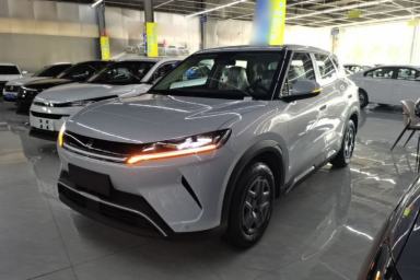 Used BYD Yuan UP 2025 Model 301KM Leading Version
