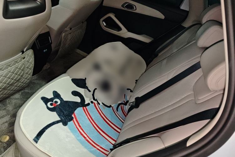 Used BYD Yuan UP 2025 Intelligent Driving Version 401 KM Dynamic Edition Left Rear Seat