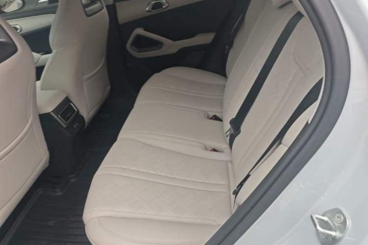 Used BYD Yuan UP 2025 Model 301KM Leading Version Left Rear Seat