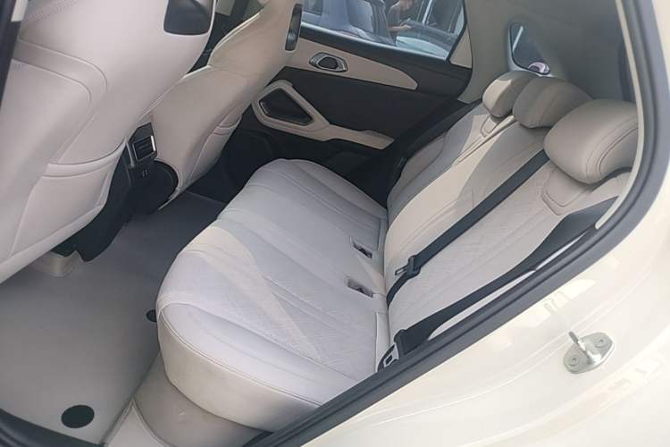 Used BYD Yuan UP 2025 Model 301KM Leading Version Left Rear Seat