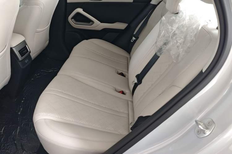 Used BYD Yuan UP 2025 Model 301KM Leading Version Left Rear Seat