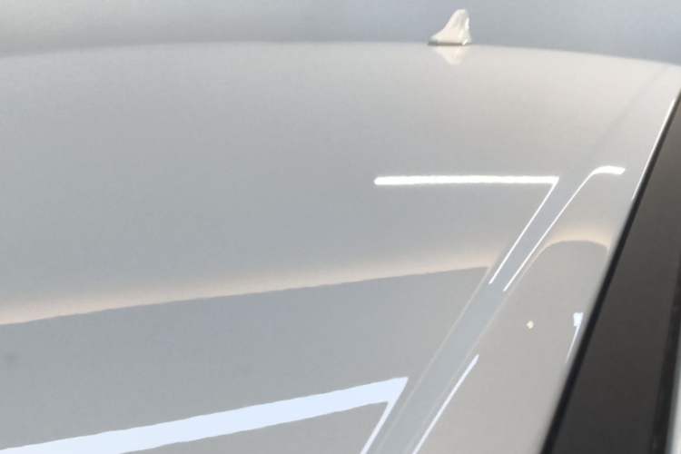 Used BYD Yuan UP 2025 Model 301KM Leading Version Roof