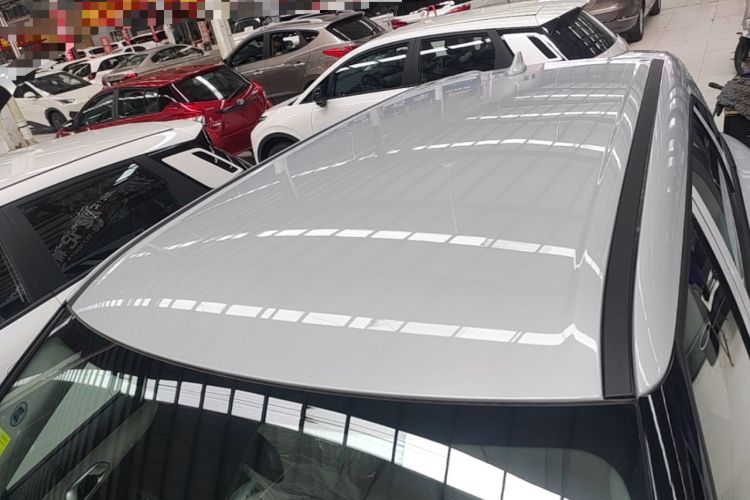 Used BYD Yuan UP 2025 Model 301KM Leading Version Roof