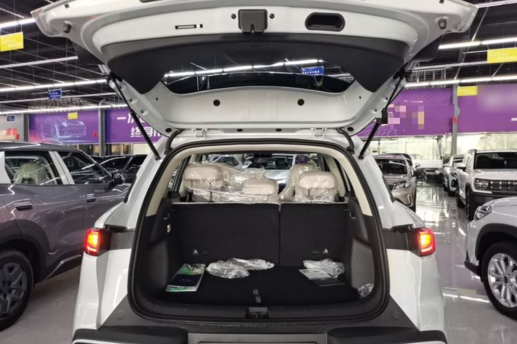 Used BYD Yuan UP 2025 Model 301KM Leading Version Trunk