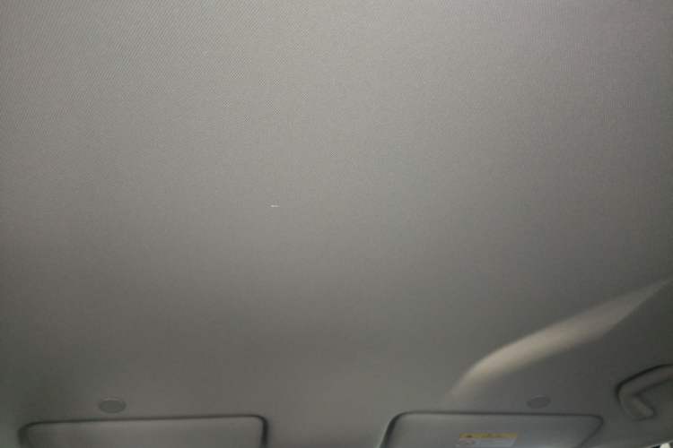 Used BYD Yuan UP 2025 Model 301KM Leading Version Headliner