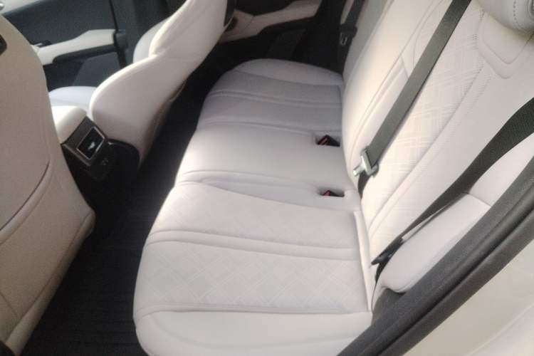 Used BYD Yuan UP 2025 Model 301KM Leading Version Left Rear Seat