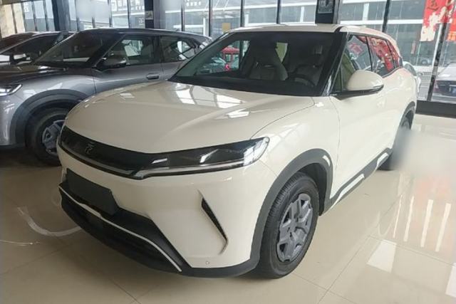 Used BYD Yuan UP 2025 Model 301KM Leading Version