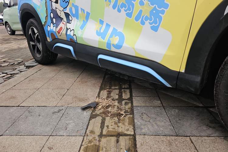 Used BYD Yuan UP 2025 Intelligent Driving Version 401 km Leading Edition Right Side Sill