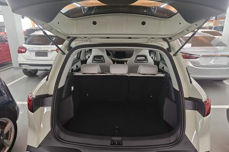 Used BYD Yuan UP 2025 Model 301KM Leading Version Trunk