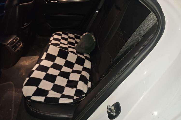 Used Cadillac ATS-L 2014 25T Comfort Model Left Rear Seat