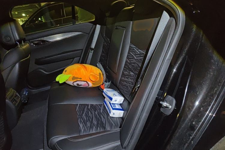Used Cadillac ATS-L 2017 28T Tech Edition Left Rear Seat