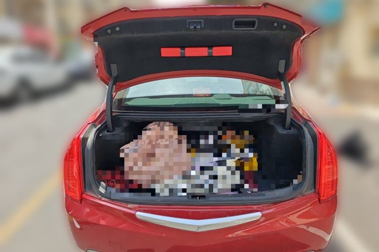 Used Cadillac ATS-L 2017 28T Fashion Edition Trunk